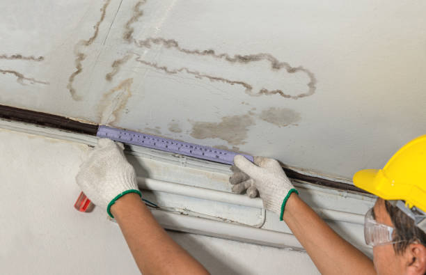 Reliable Mold Remediation contractor in Franklin, MA by Local Water Damage Repair
